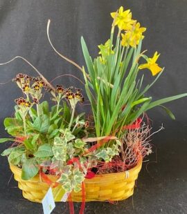 Saisonale Arrangements